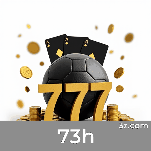 73h Logo